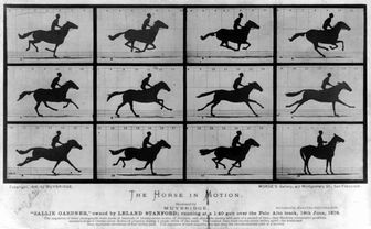 疾走する馬の連続写真